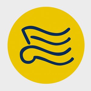 vsma icon